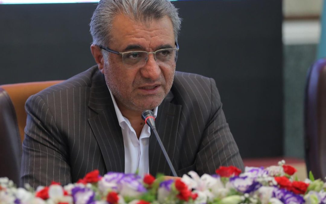 تاکید معاون امور تعاون بر لزوم تاسیس تعاونی های آموزش دیجیتال در کشور