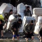واردات کولبری و ملوانی مواد اولیه پتروشیمی و پلیمری مجاز شد